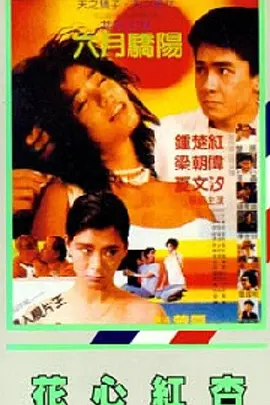 激情片网址