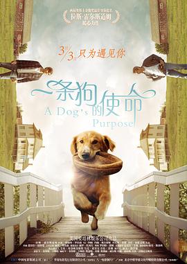公开的