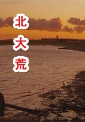 久久免费视频网