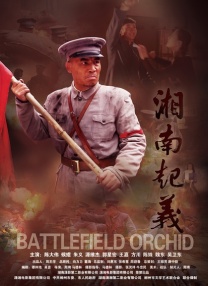 一夜七次郎在线视频