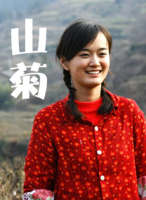 安阳旅馆的电报网女