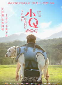 星野大战光头哥免费