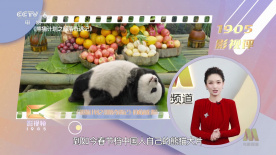 来看电影5566